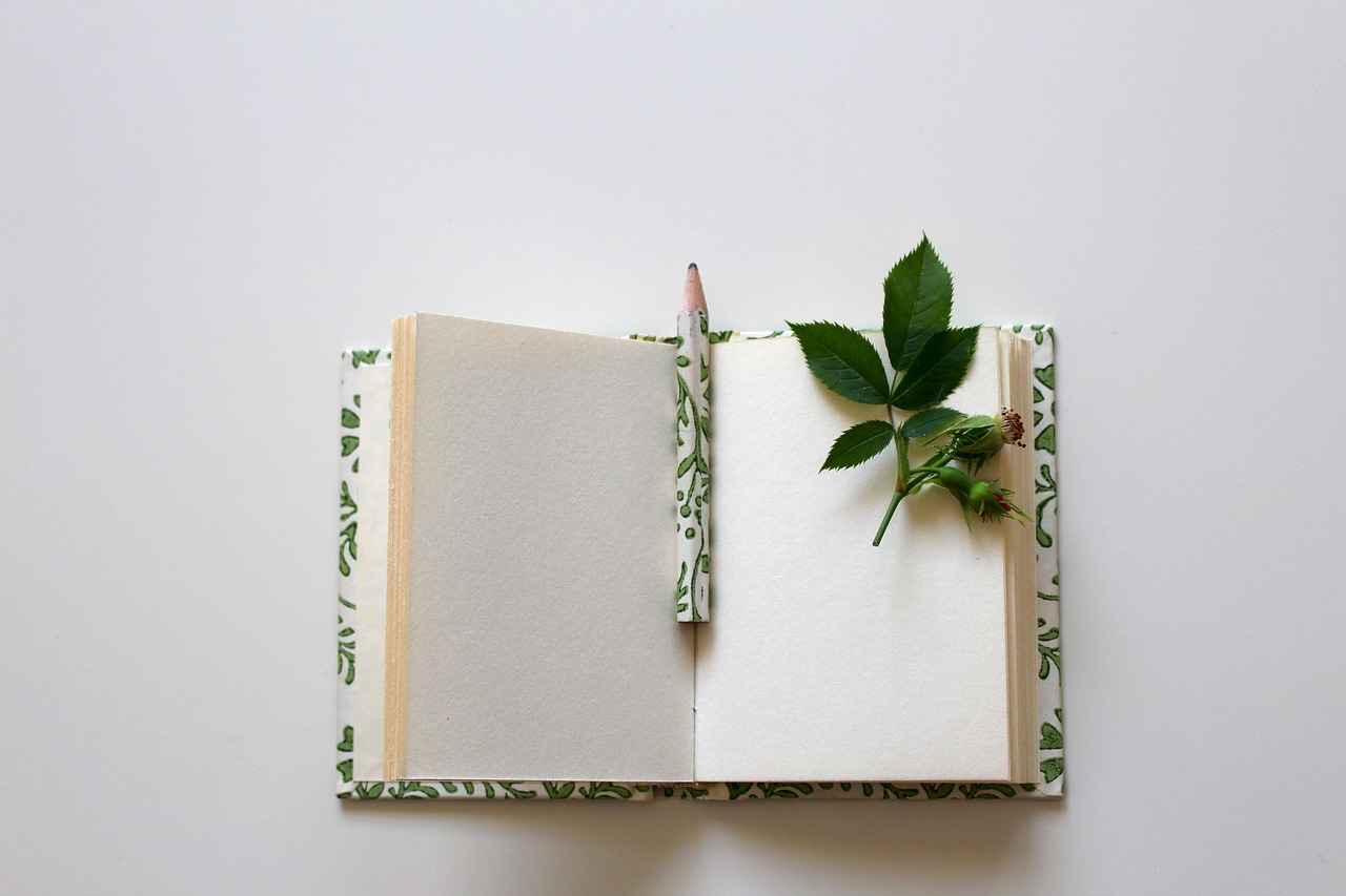 4. Building a Strong Writing Portfolio